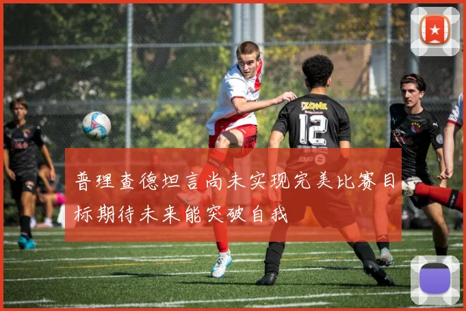 普理查德坦言尚未实现完美比赛目标期待未来能突破自我