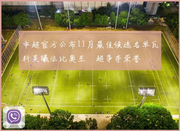 中超官方公布11月最佳候选名单瓦科吴曦法比奥王燊超争夺荣誉