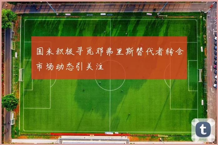 国米积极寻觅邓弗里斯替代者转会市场动态引关注